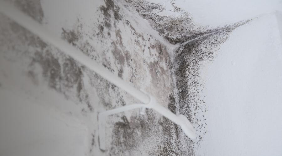 Why choose water damage restoration service for emergency flood repair in Harvard